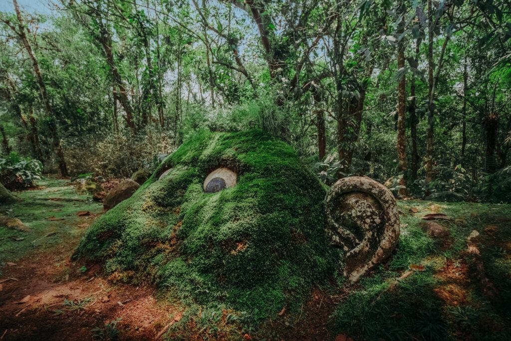 Imagem de Albori - Ekôa Park